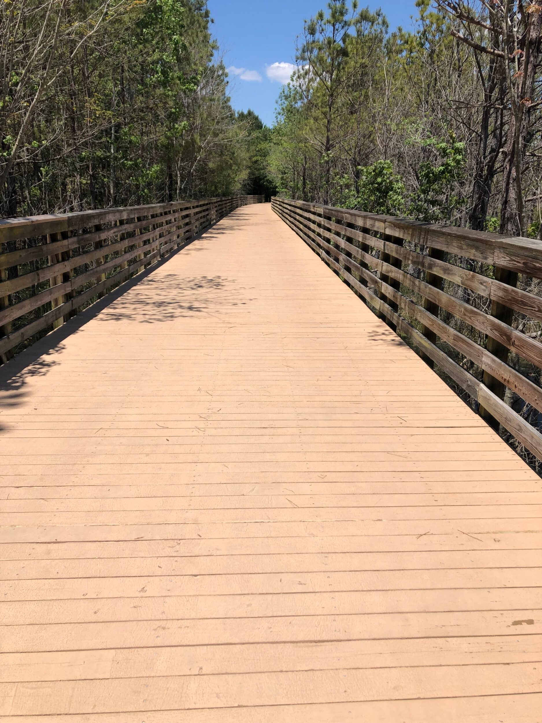 A wide, sunny boardwalk