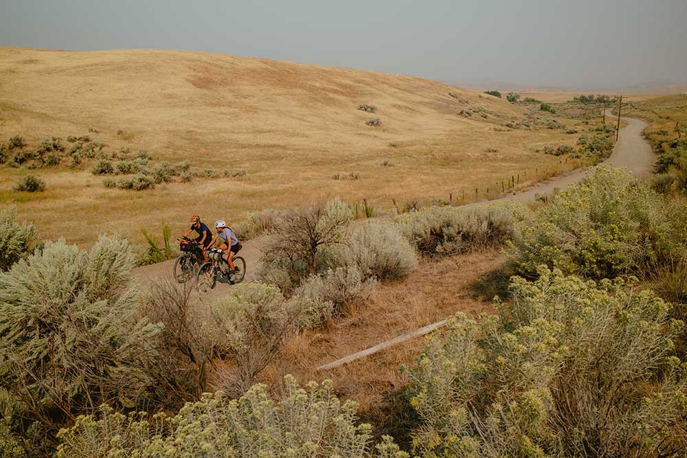 Drop-in Rides