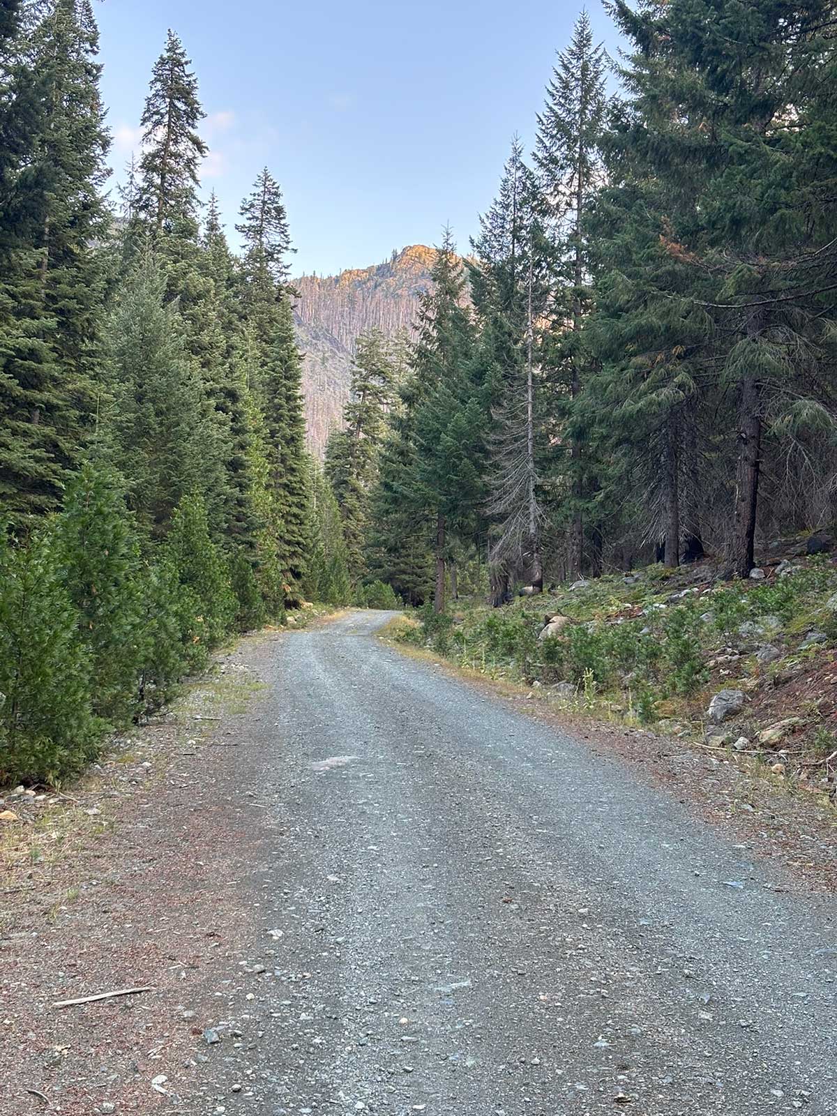 Carter Meadows Road