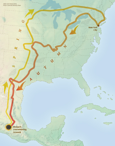Map of Sara Dykman's bicycle tour with the monarchs.