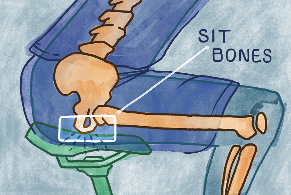 Illustration explaining sit bones in relation to a bicycle saddle.
