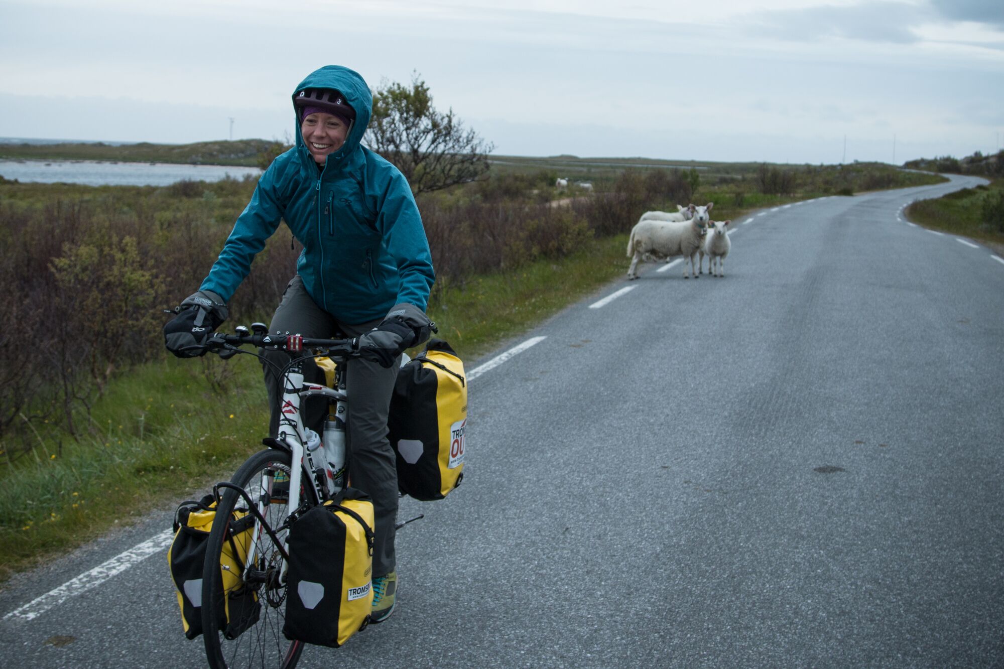 Hilary Oliver riding by some sheep in Norway