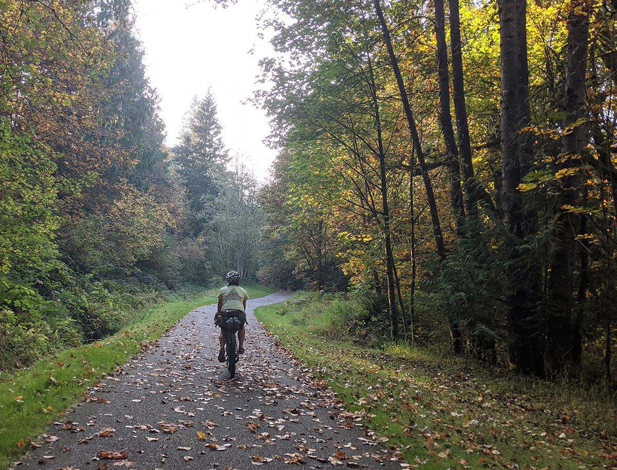  Big Maple and other deciduous trees stand tall on either side of the Preston-Snoqualmie Trail. Her back faces the camera and she is pedaling her bike on the fallen yellow-leaves carpeting the paved trail.