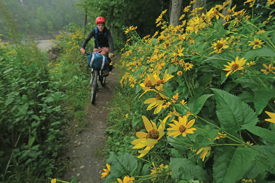 Bikepacking the Green Mountain Gravel Growler