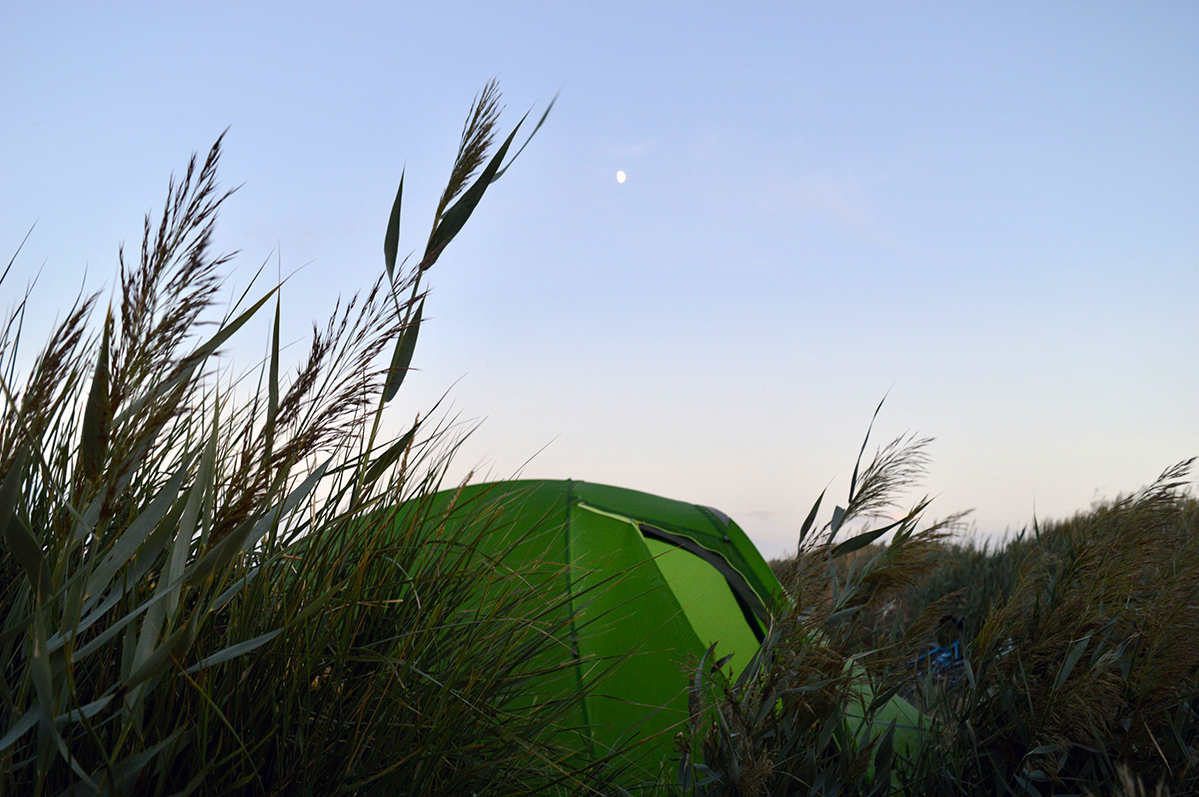 A tent sit in tall green grass as the moon rises in the background.