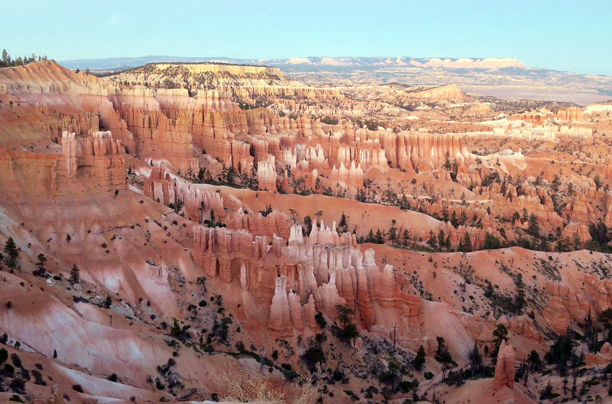 A stunning view of Bryce Canyon's red and white spires.