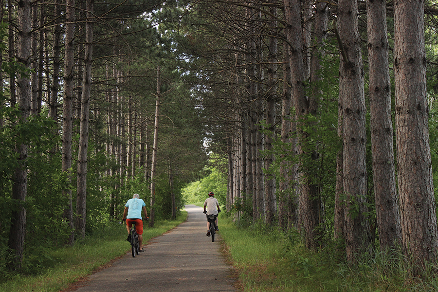 Two cyclist in shorts and tshirts on a paved path in a pine forest.