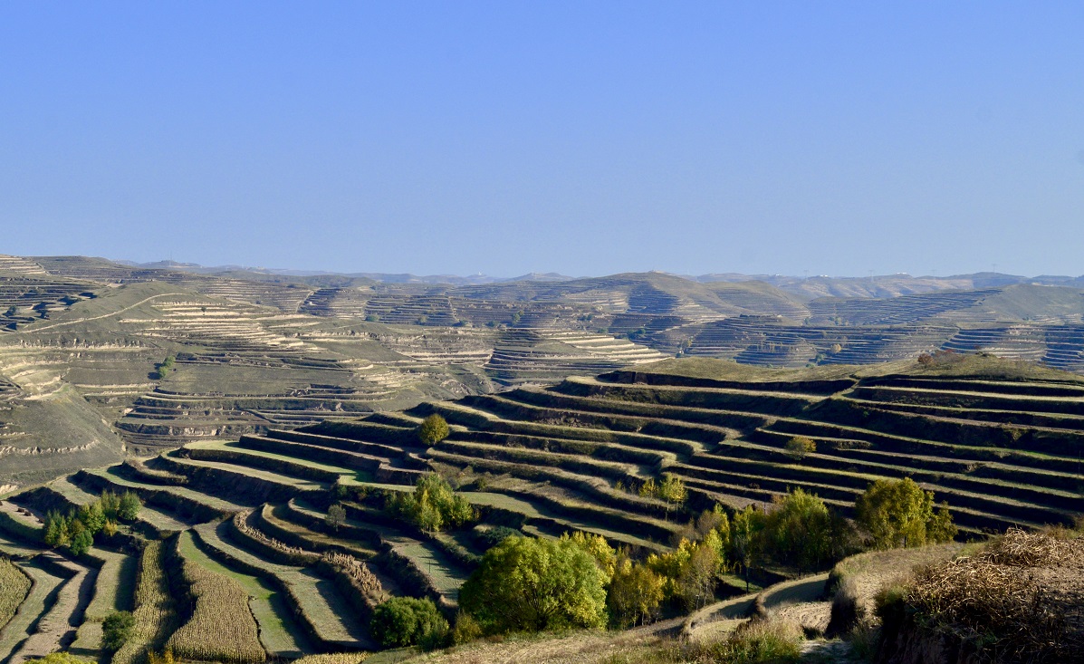 Green terraced fields and blue sky were commonplace in rural China.