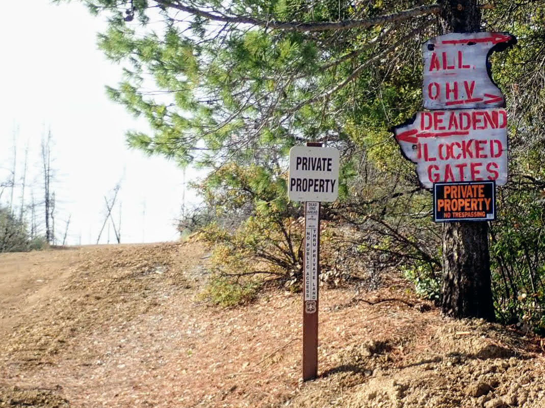 a private land sign sits alongside a road with other orange warning signs tacked to a tree, like Dead End and Locked Gates