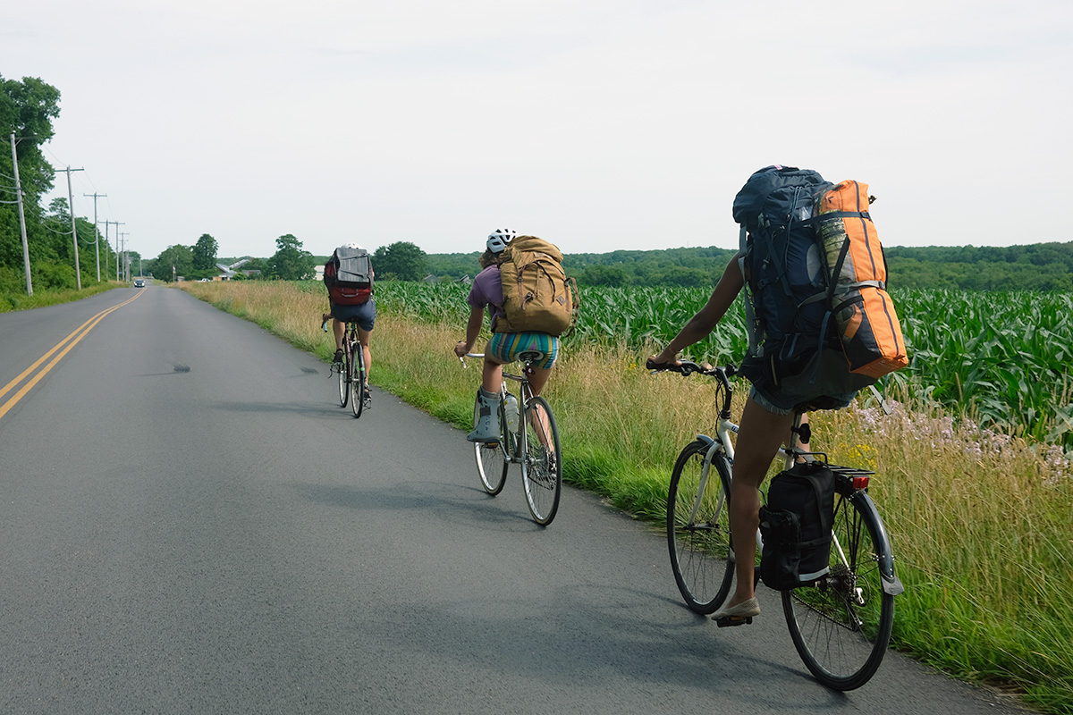 A line of three cyclists with giant backpacks ride down a paved country road among fields of different crops all green in the summer light.