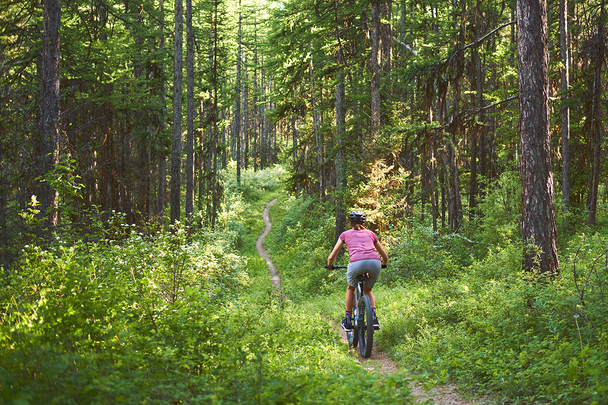 Photo shoes the author riding her mountain bike downhill on a winding path through a hall of evergreen trees.