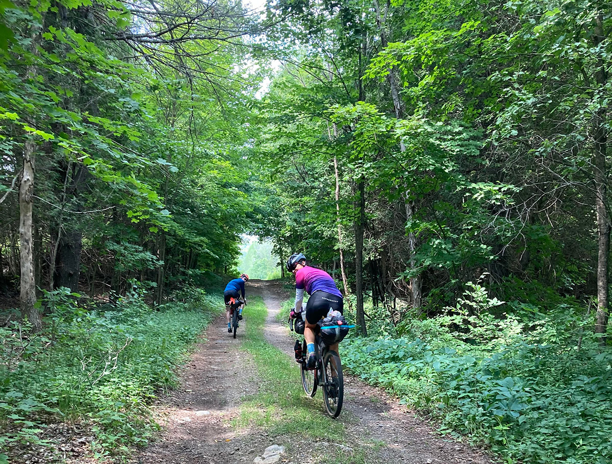 Two riders on a double track dirt trail look over their shoulders at the camera. Vibrant green trees form a canopy over the trail.
