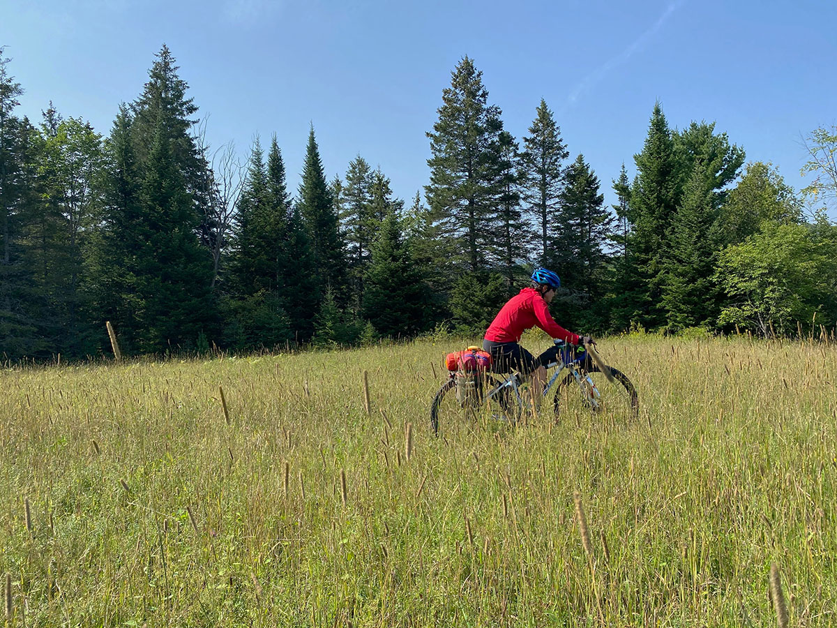 A woman rides through tall grasses on a singletrack trail. Tall pines rise in the background but don't shade out the bright sun.