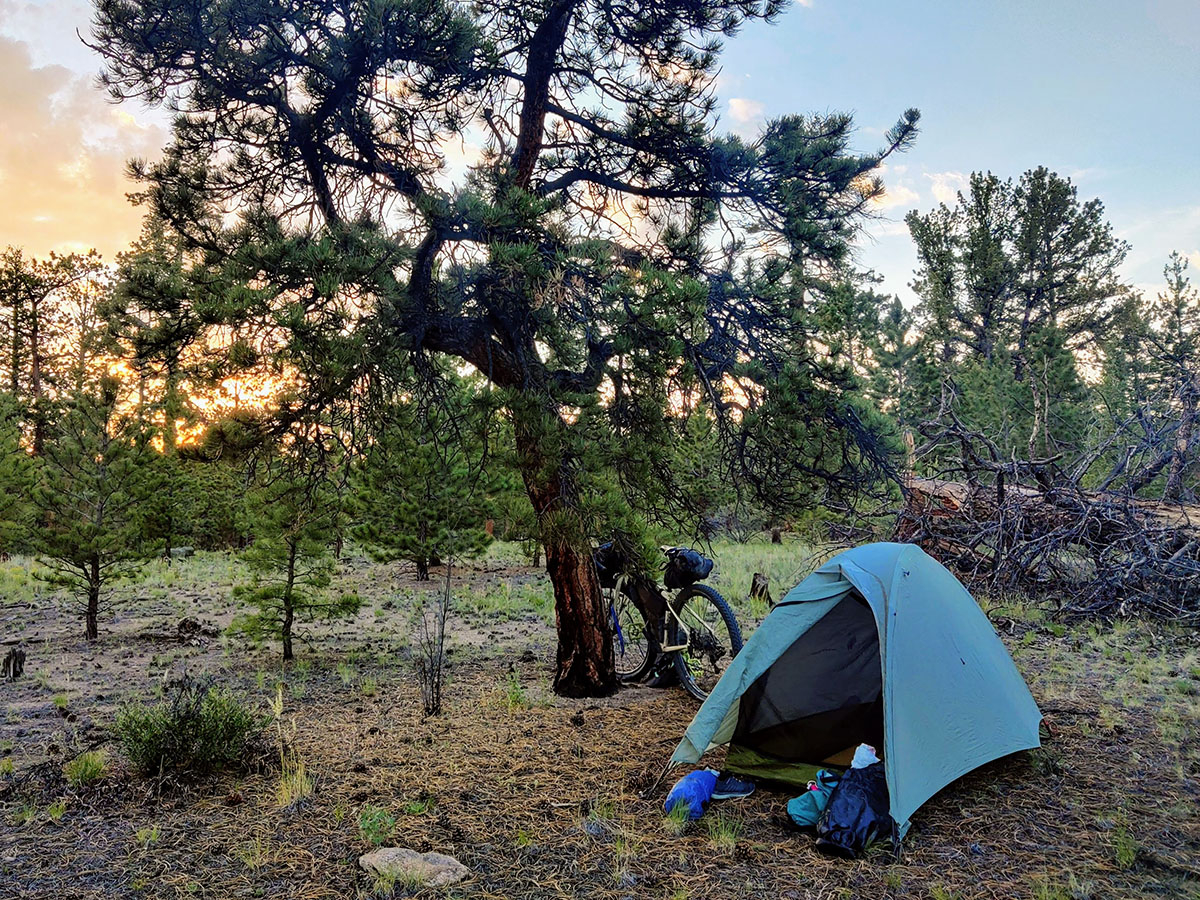 Alissa's tent sits under a pine tree in New Mexico, her bike leans against the tree. The sun sets in the background.