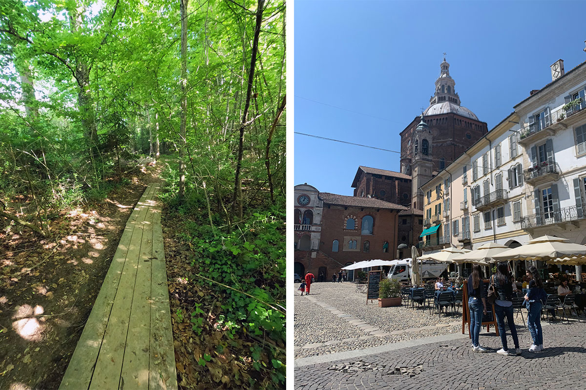 two photos that compare the potential difference in route conditions you might encounter. One shows cobblestone in Italy. The other shows a rickety boardwalk through a forest.