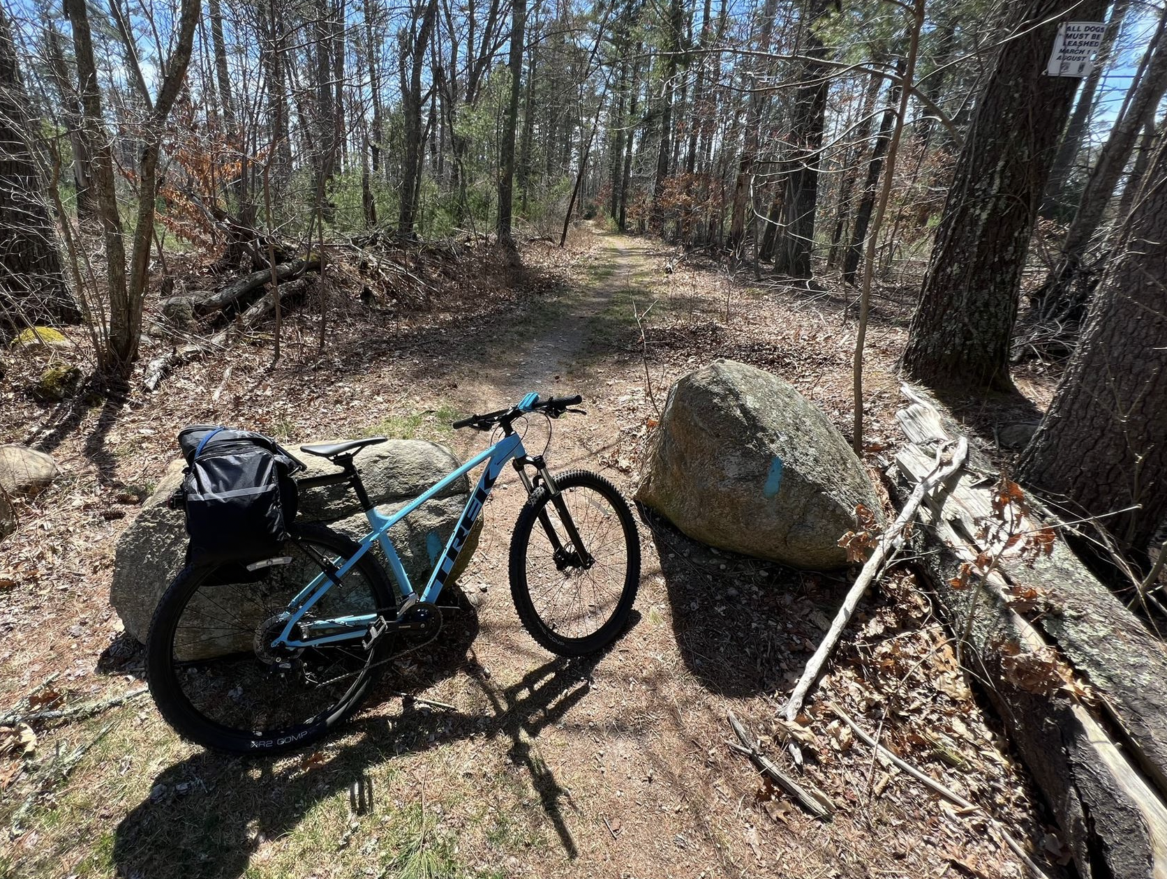bike with bike bags on a trail