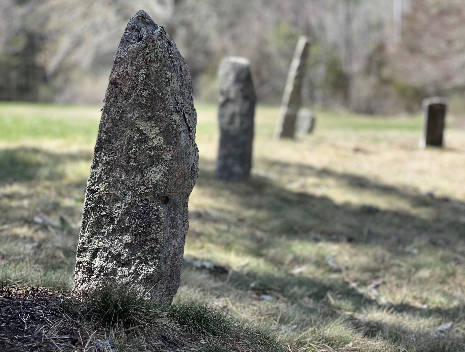 vertical rocks in a green field