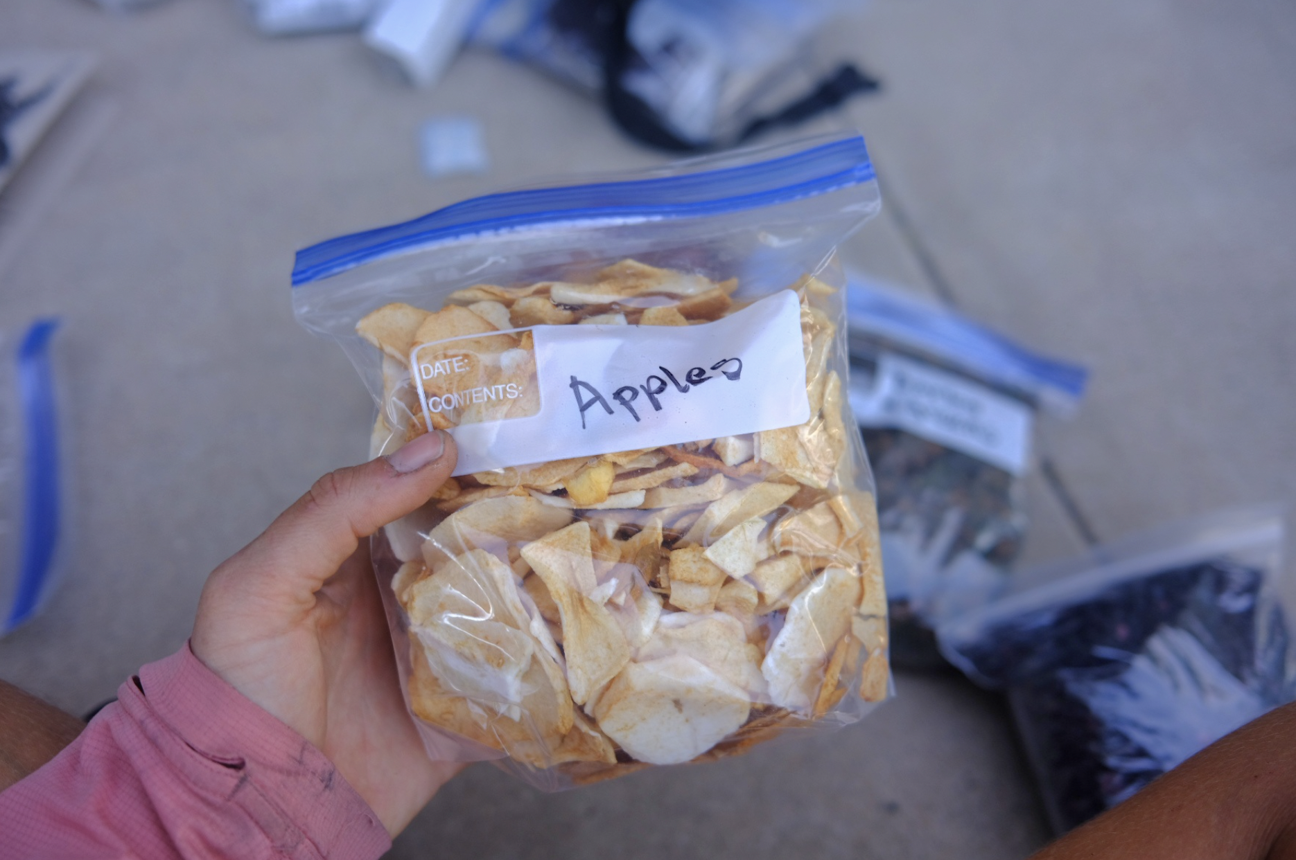 a bag of dried apples held in hand