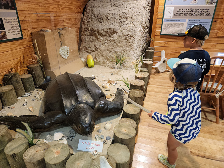 Two children look at a bronze sea turtle statue, indoors.