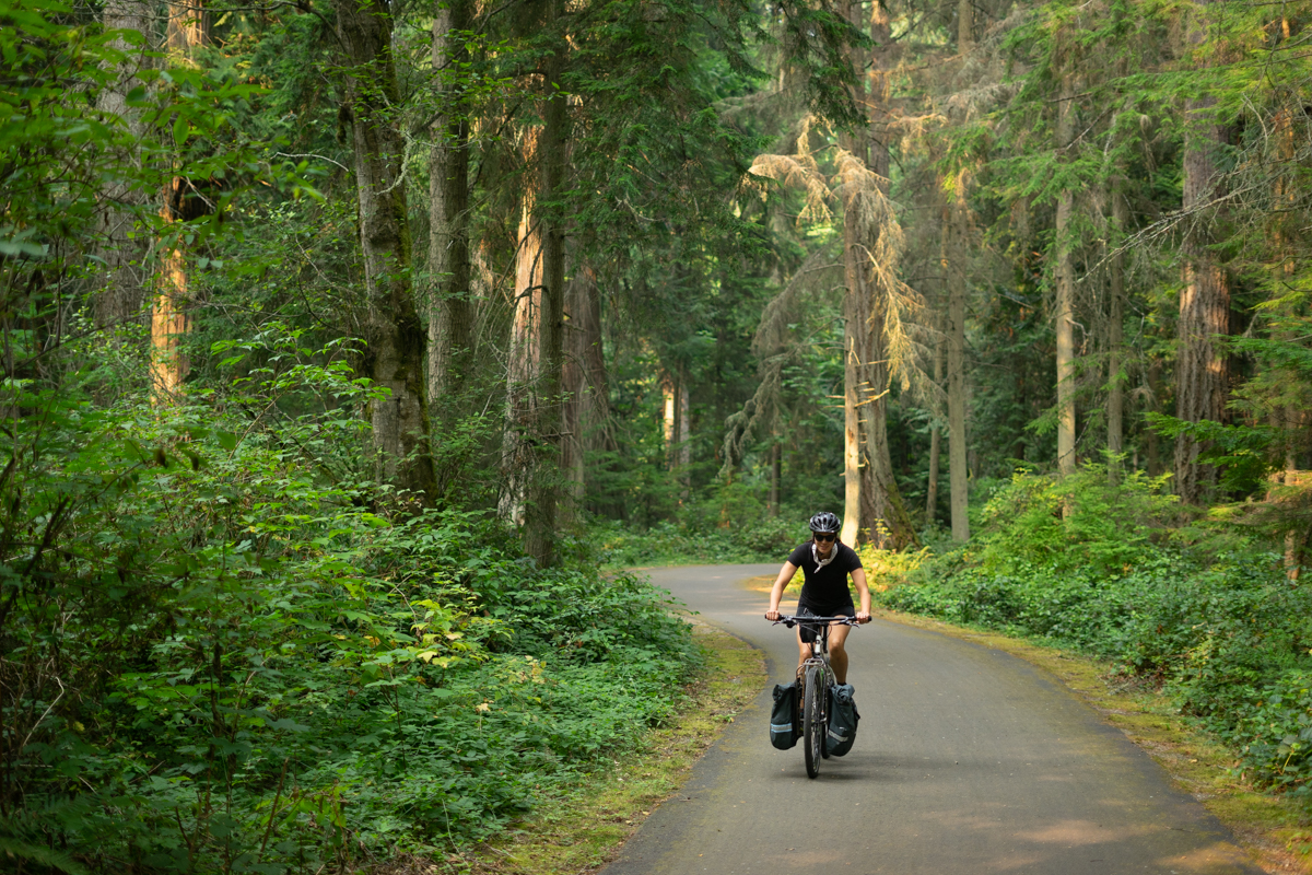 A woman on a loaded bike riding on a paved path surrounded by towering evergreens.