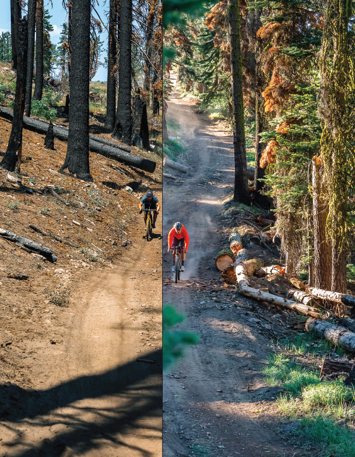gravel cycling in plumas county after dixie fire