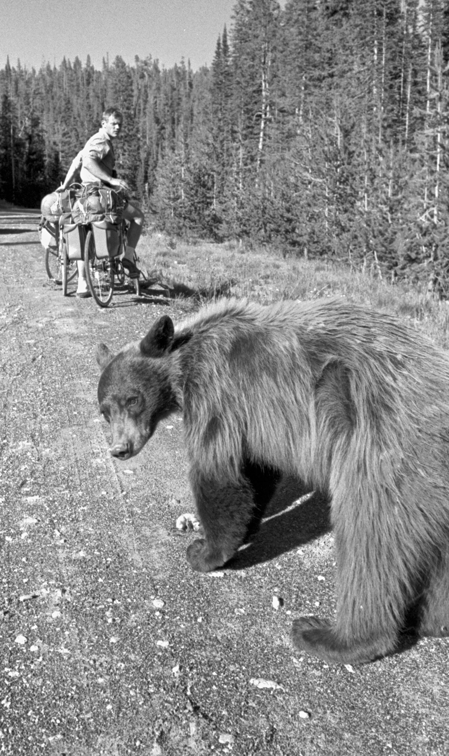 cyclists escape czechoslovakia