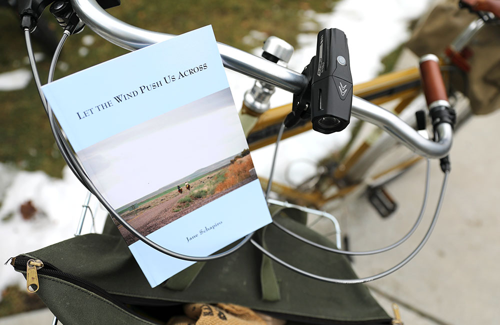 Book Review of Let the Wind Push Us Across by Jane Shapiro