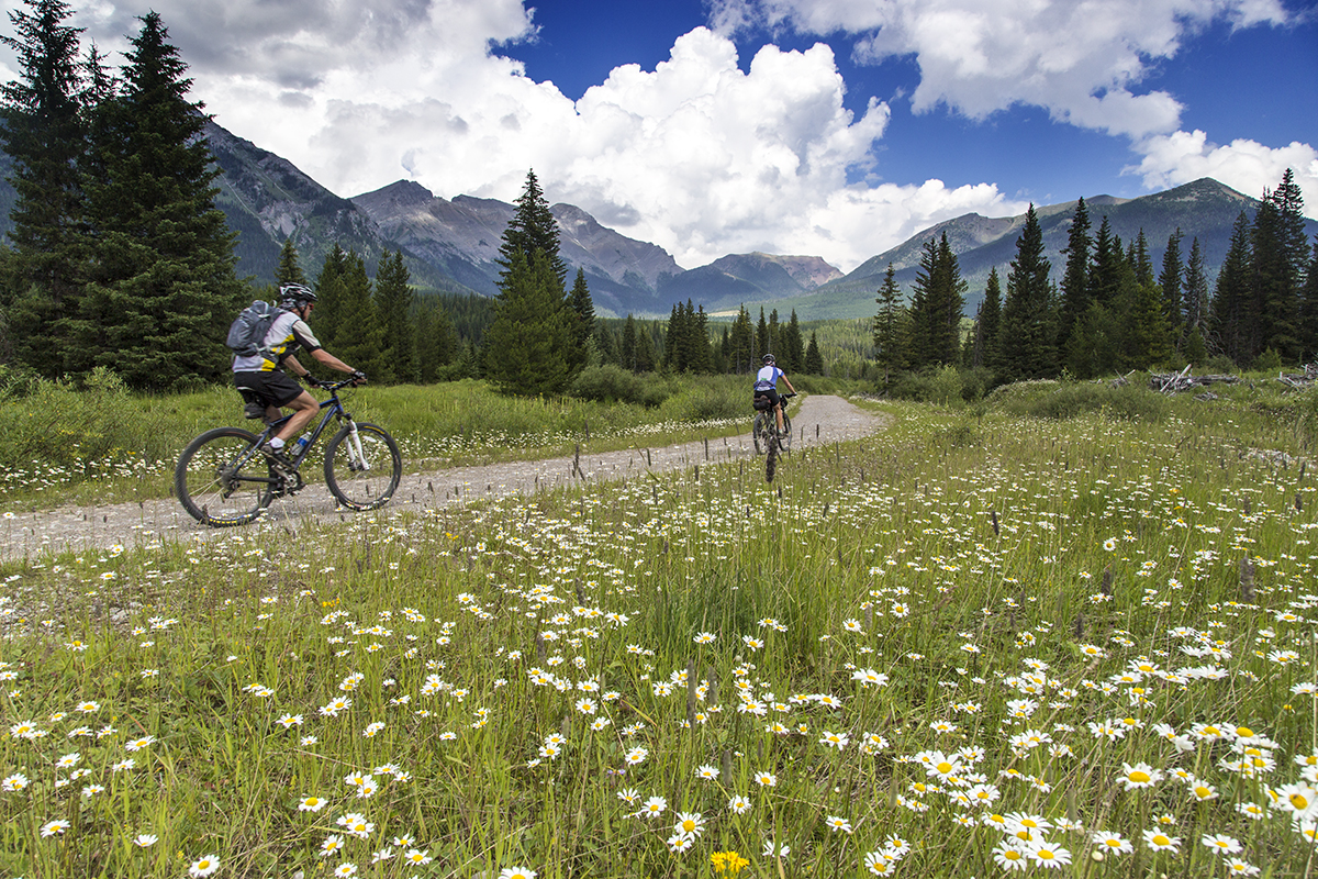 Bike touring through the Canadian section of the Great Divide.