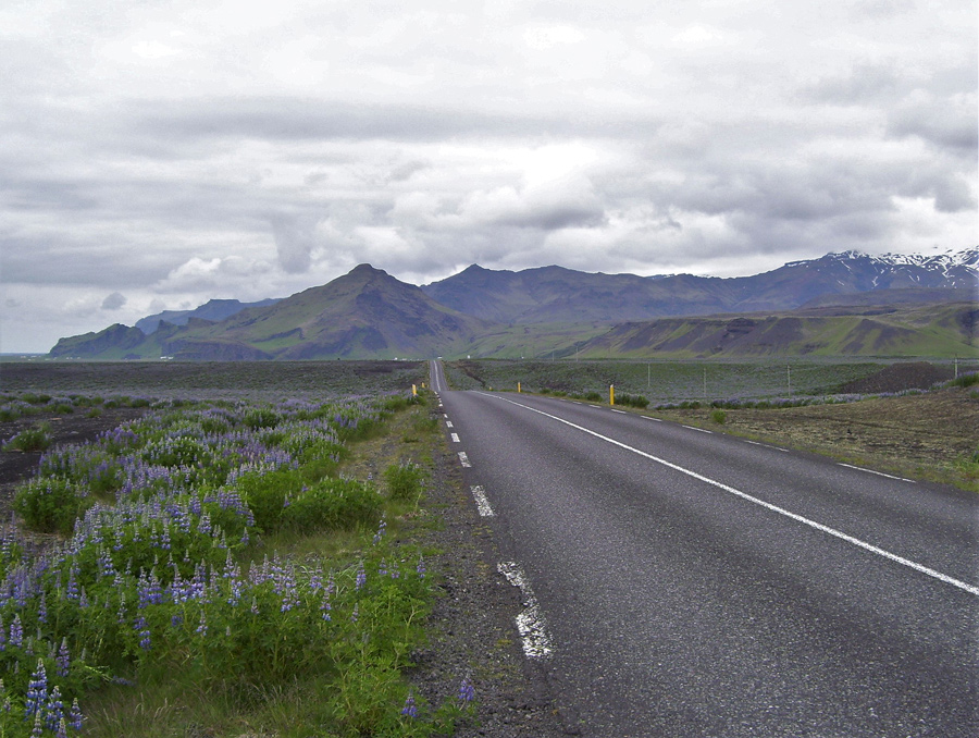 Iceland road by Laura Killinbgack