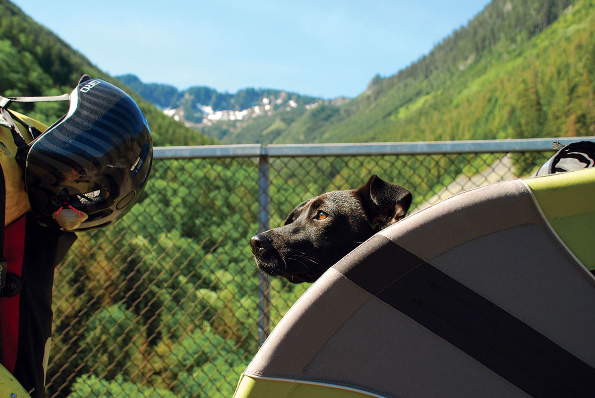 A rescued dog travels a rescued trail