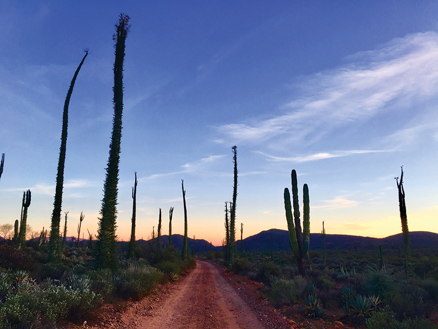 Pedaling into a tight spot in the Mexican desert.