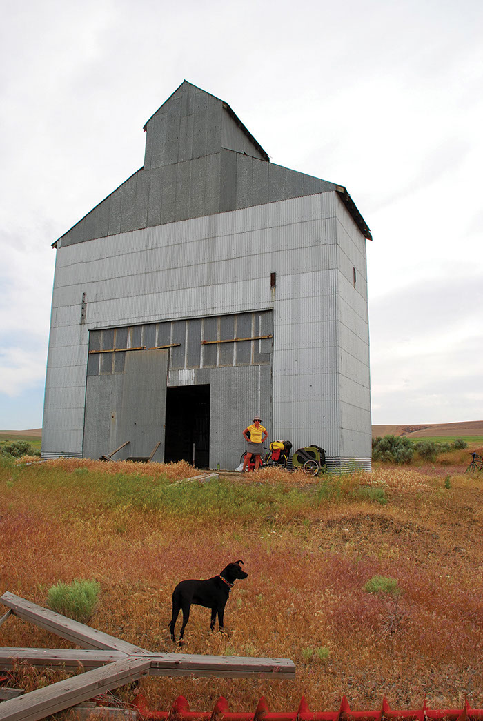 A rescued dog travels a rescued trail