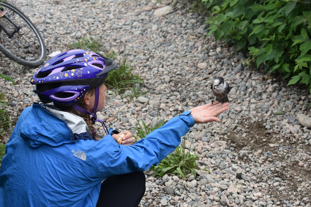 A bird lands on Laura's hand on a trip through Newfoundland.