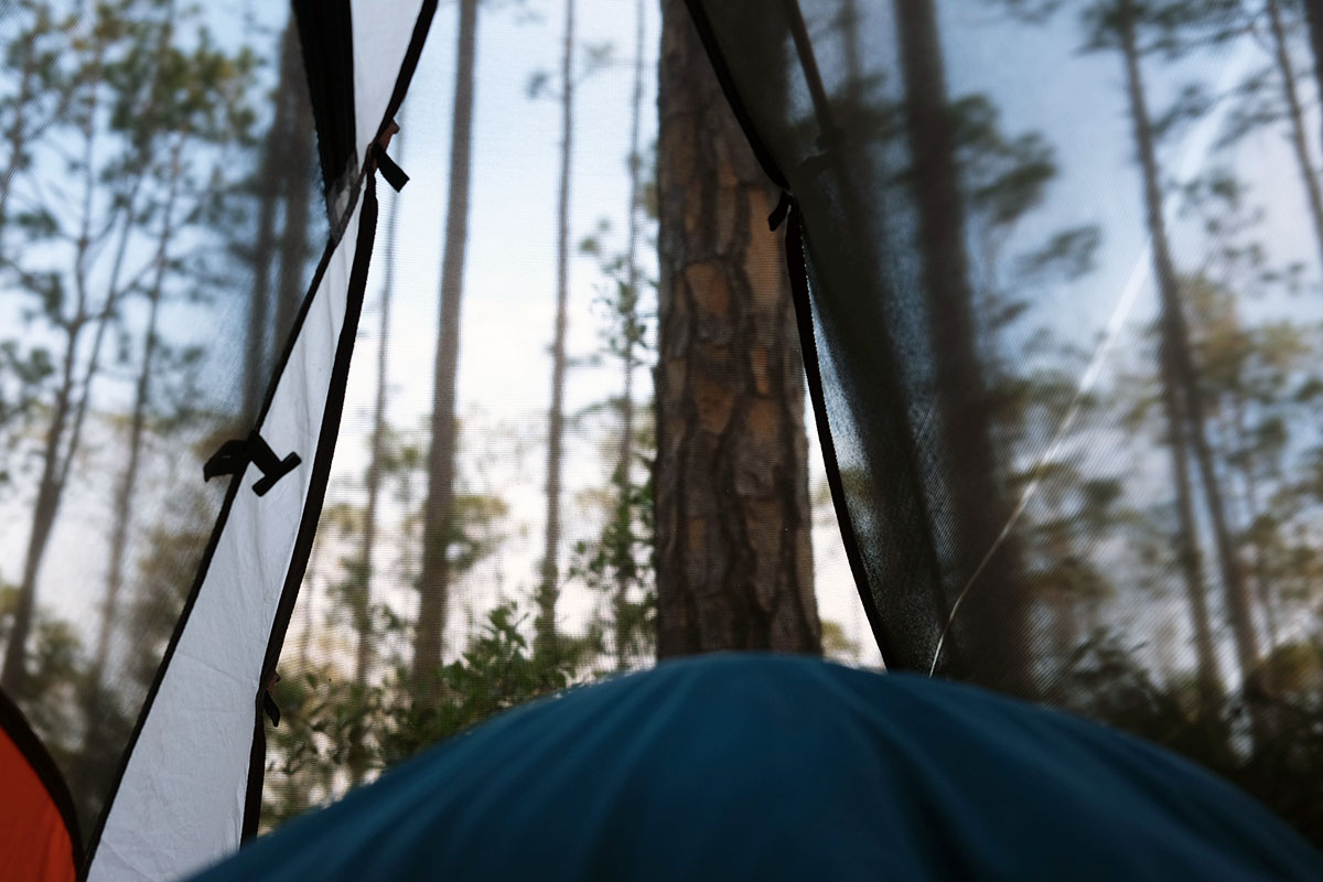 A view of the trees and twilight sky through the mesh of the tent top.