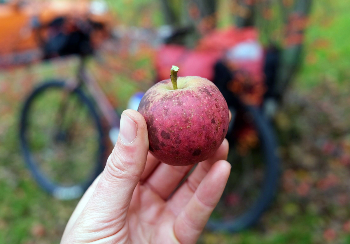 Laura holds an little red apple as her bike sits in the background