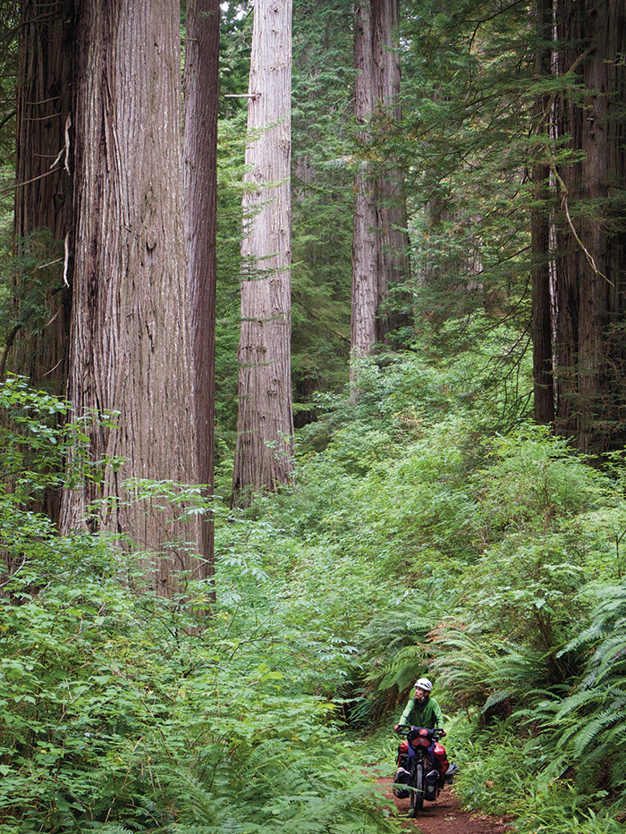 Heading down to the coast on the Ossagon Loop.