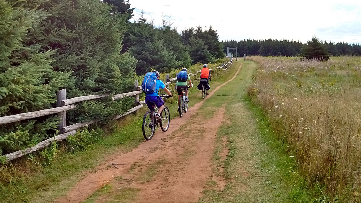 Sarah's sons and husband ride on a flat dirt double track next to evergreen trees and farmland.
