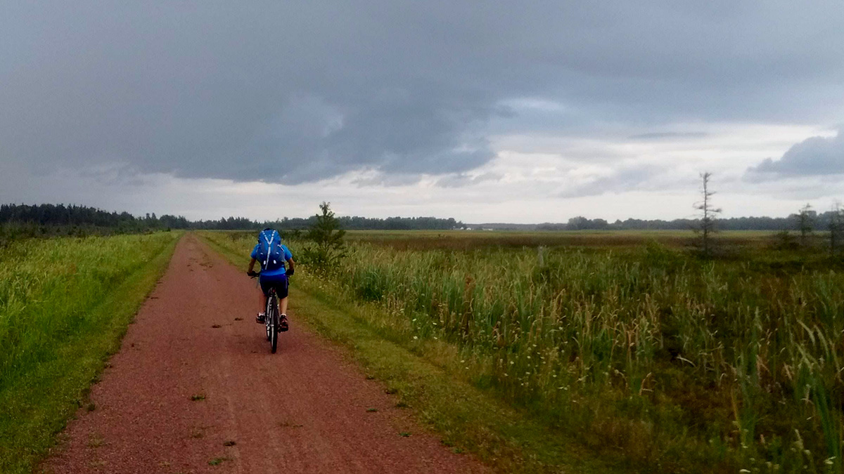 One of Sarah's sons rides on a dirt double track toward a dark gray cloud in the distance.