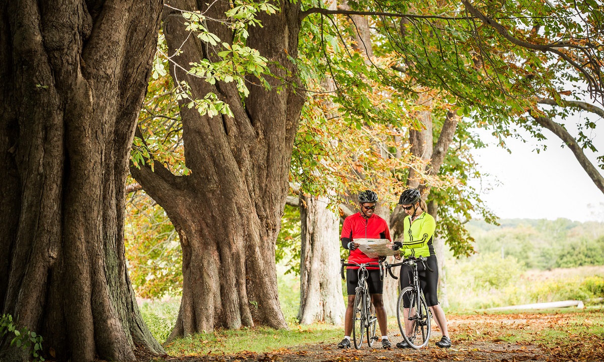 Checking the map while adventure cycling country roads