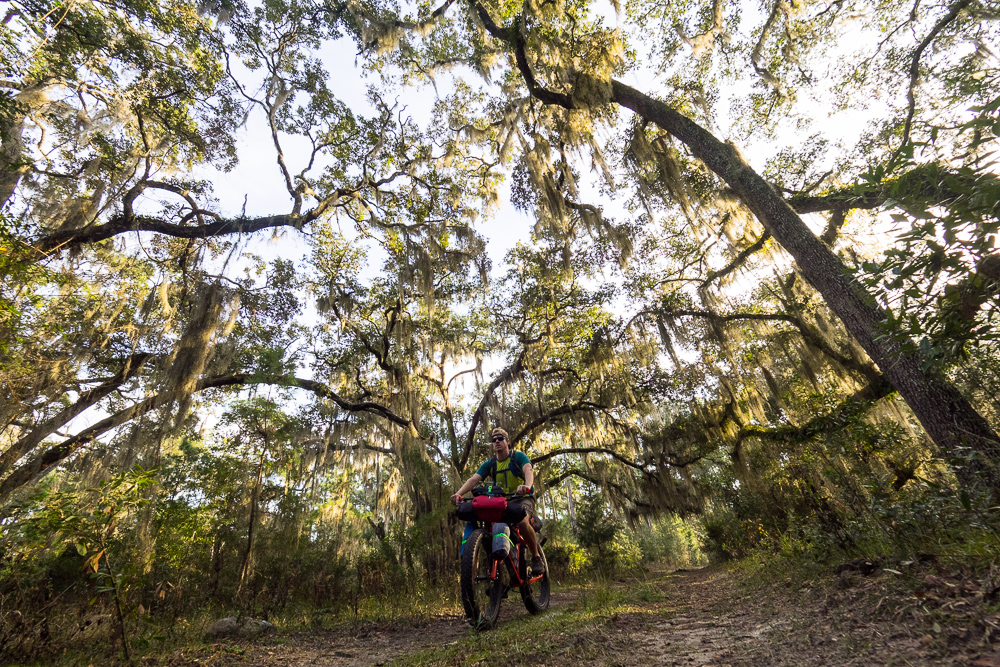 Spanish moss and solitude while bikepacking on Cumberland Island