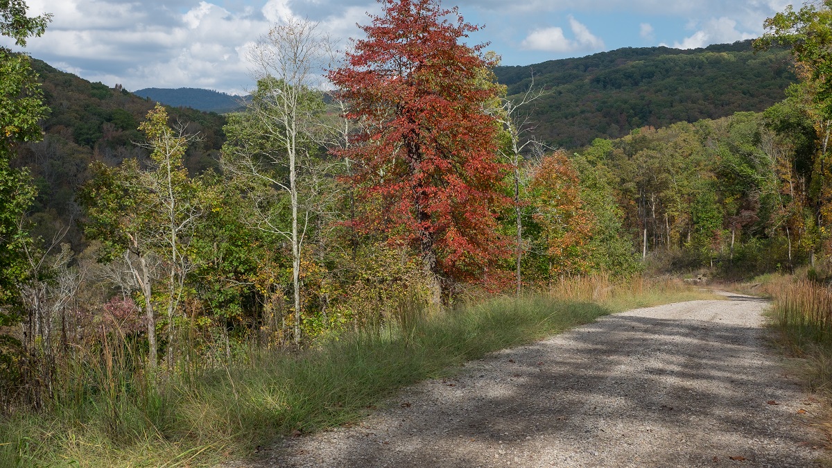 A view of the autumnal hills of the Ozarks.