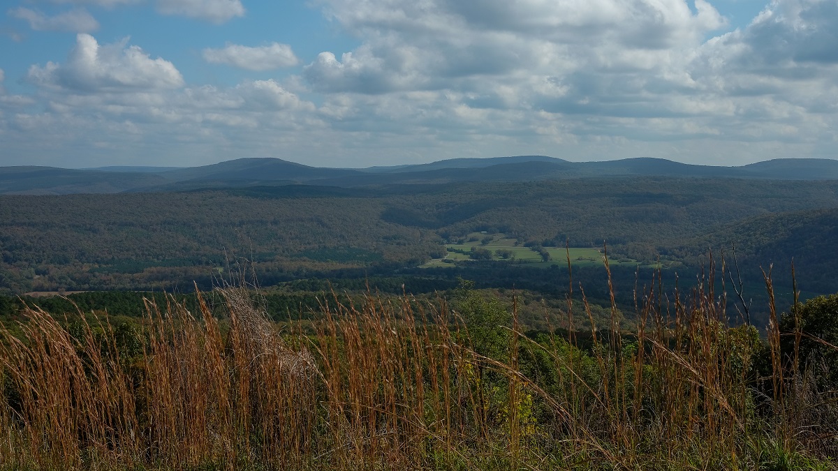 A great view of the Ozark Mountains, complete with rolling green and golden hills and thick forest.