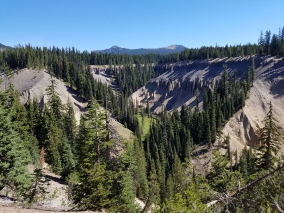 Rocky slope with occasional evergreen trees.