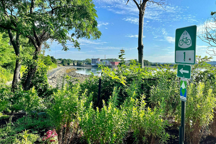 Sunny vegetated area near a body of water with a USBR 1 sign