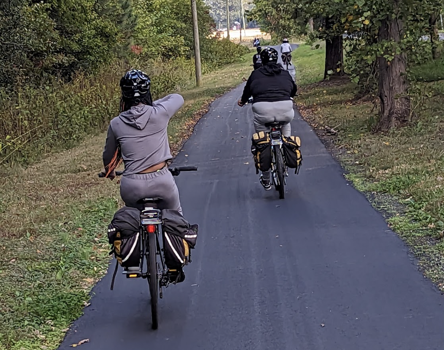 a cyclist on a wooded path
