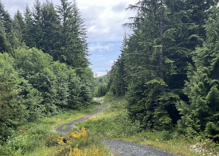 Vancouver Crossing Loop Image 1