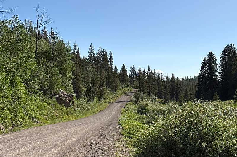 The route near Columbine Pass atop the Uncompahgre Plateau