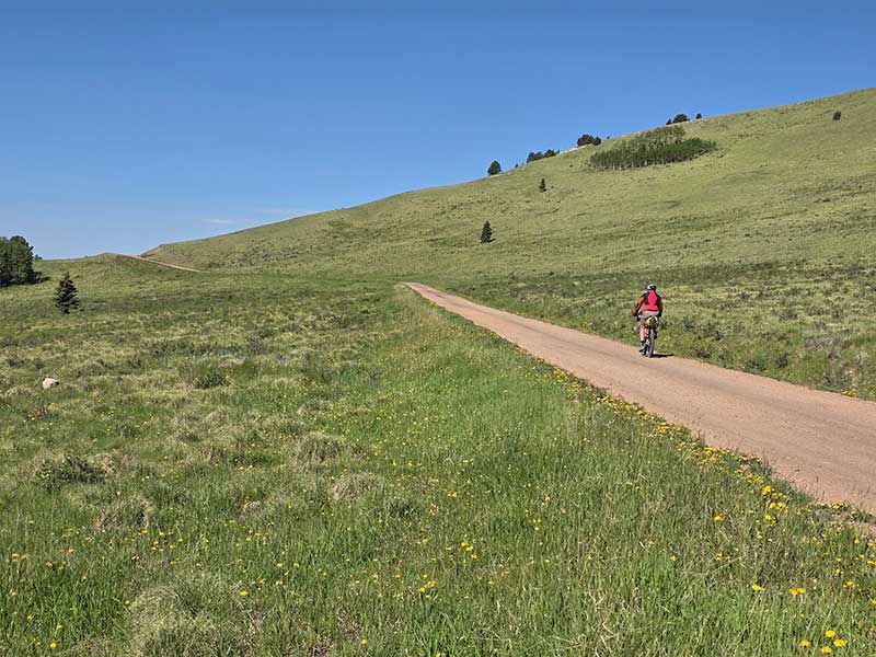 Near the summit of the Wet Mountains