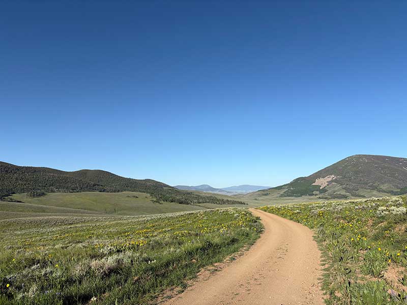Descending into Waunita Park from Black Sage Pass