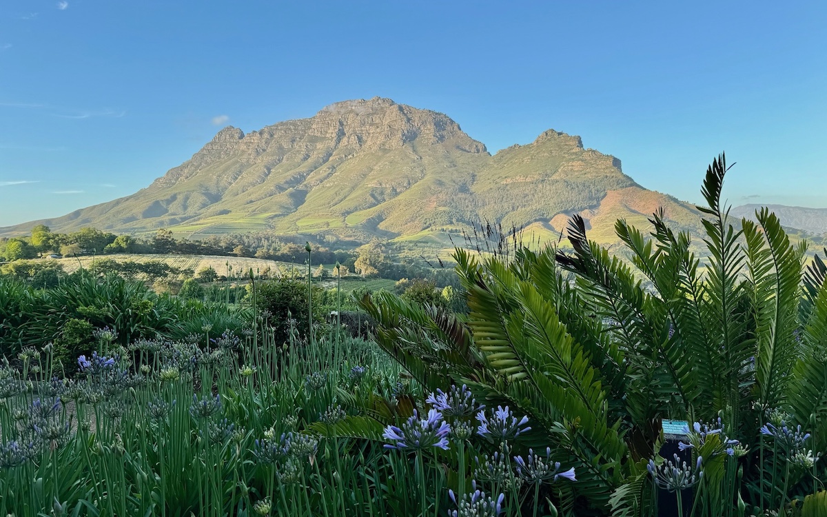 Simonsberg, South Africa, South African Winelands Bike Tour